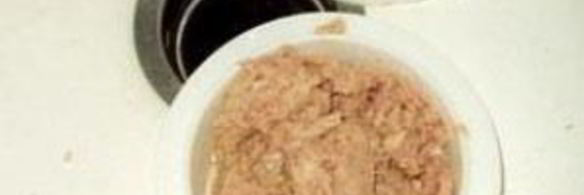 изысканный бутерброд с тунцом