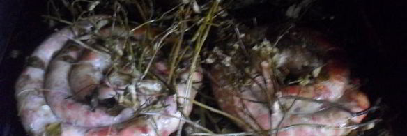 деревенская пальцемпханная колбаса