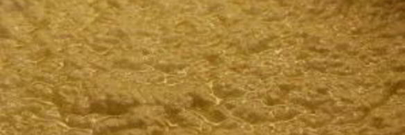 домашний сыр панир