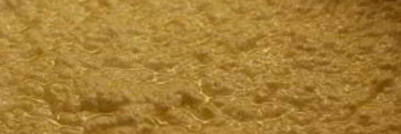 домашний сыр панир