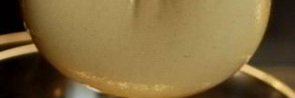 домашний сыр панир