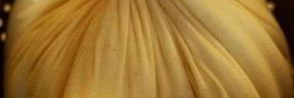 домашний сыр панир