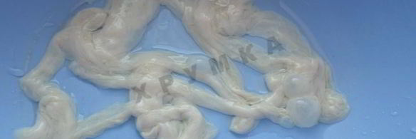 домашняя колбаса с гречкой