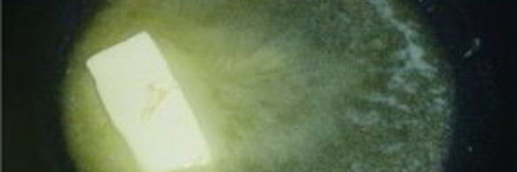 французский омлет на завтрак