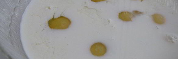 идеальный омлет к завтраку