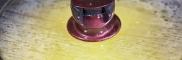 омлет с грибами