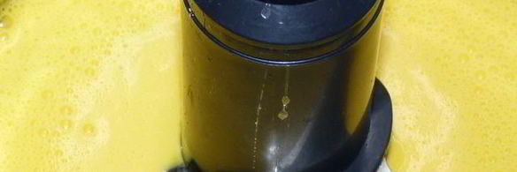 омлет с цветками цукини