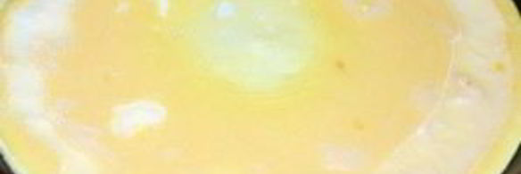 омлет с зеленью и помидорами