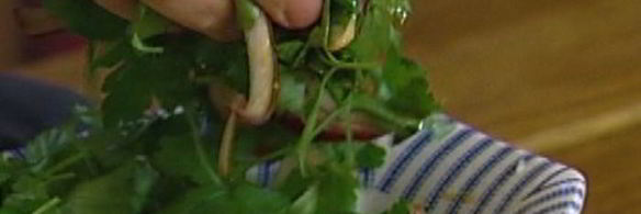 омлет санчо пансы