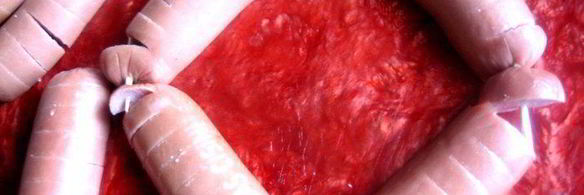 омлетный цветочек под сыром джюгас