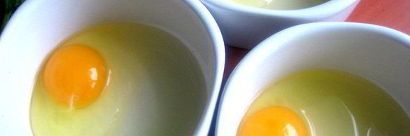 омлетный цветочек под сыром джюгас