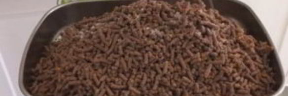 обалденный домашний печеночный паштет