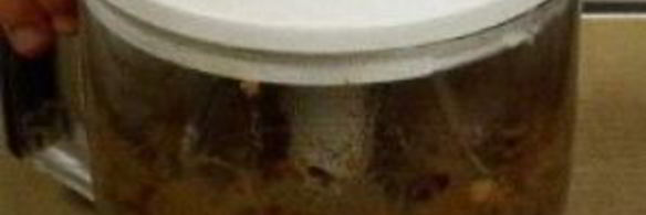 паштет из куриной печени с коньяком