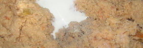 паштет из семги