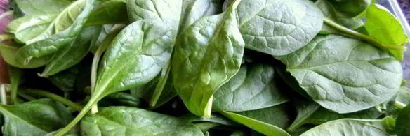 селедочный паштет на фасолевых котлетах