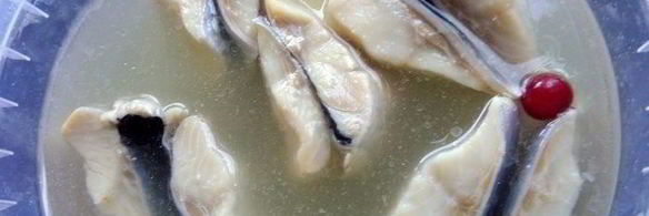 селедочный паштет на фасолевых котлетах