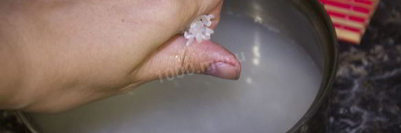 роллы филадельфия