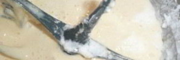 бисквитный рулет со сгущенкой