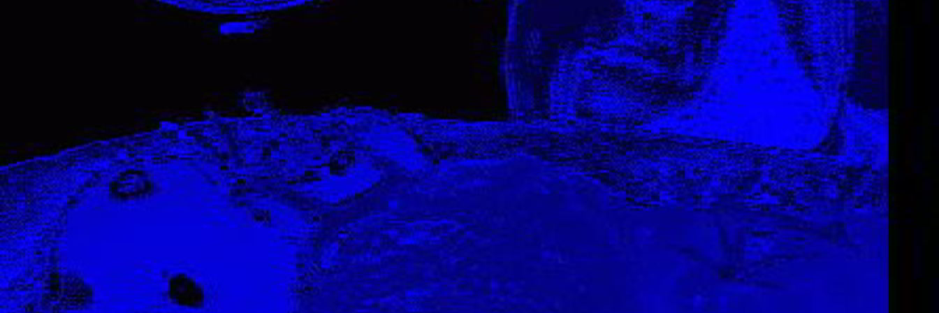 Куриный рулет с чесноком