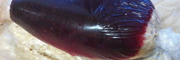 куриный рулет в гранатовом желе