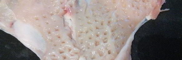 куриный рулет в гранатовом желе