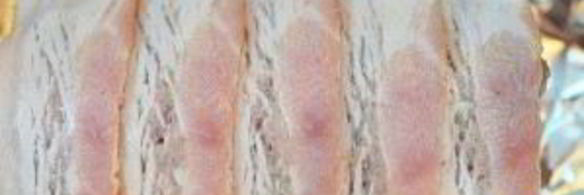 мясной рулет в беконе