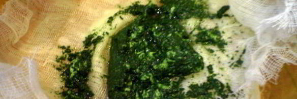 необычный сладкий рулет с баклажанами и петрушкой