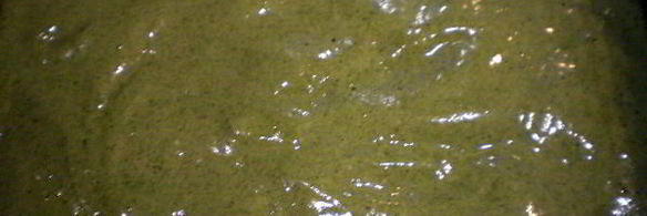 необычный сладкий рулет с баклажанами и петрушкой