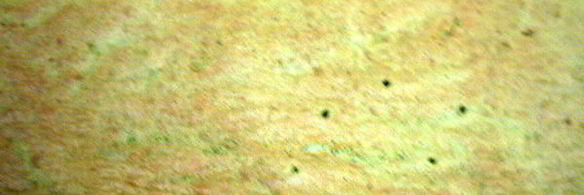 необычный сладкий рулет с баклажанами и петрушкой