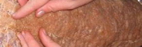 рулет из говядины с черносливом