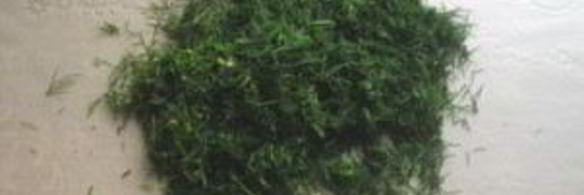 рулет из лаваша с курицей