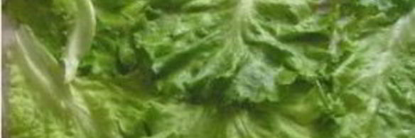 рулет из лаваша с курицей