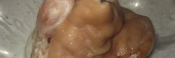 рулет из свиной рульки с грибами