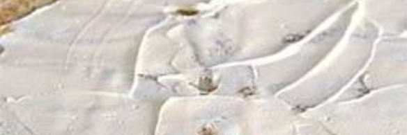 рулетики с копченым лососем