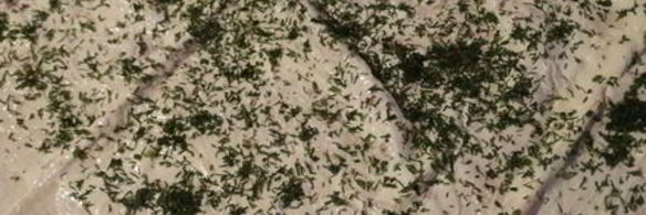 закусочный рулет из лаваша с паштетом