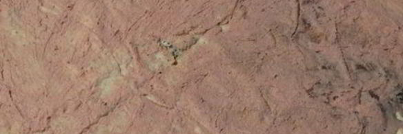 закусочный рулет из лаваша с паштетом