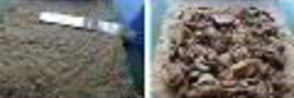 запеченный овсяный рулет с грибной начинкой