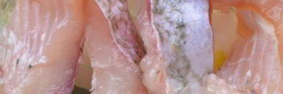 щука маринованная