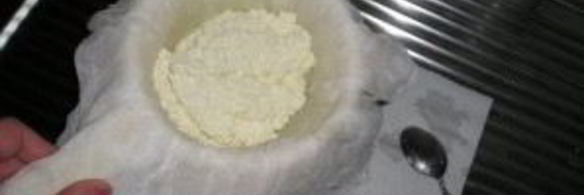 сыр из молока