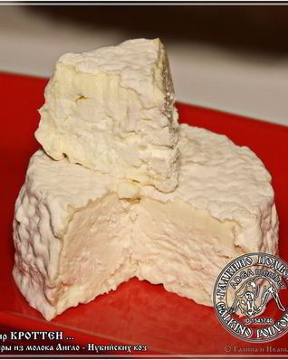 Сыр Кроттен из молока англо-нубийских коз