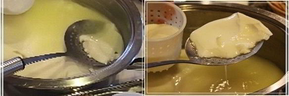 сыр кроттен из молока англо-нубийских коз