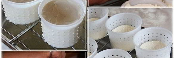 сыр кроттен из молока англо-нубийских коз