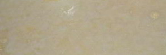 сыр с зеленью