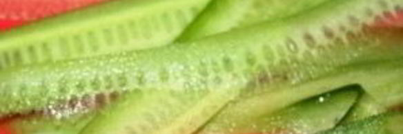 закуска новогодние матрешки