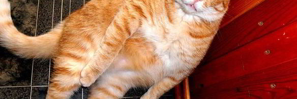 закуска селедочное счастье