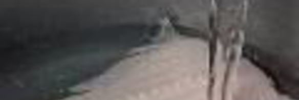 заливное из судака