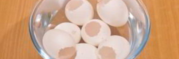 заливные яйца