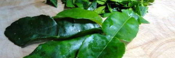 зеленое, горячее карри с баклажанами и курицей