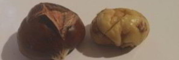 жареные каштаны